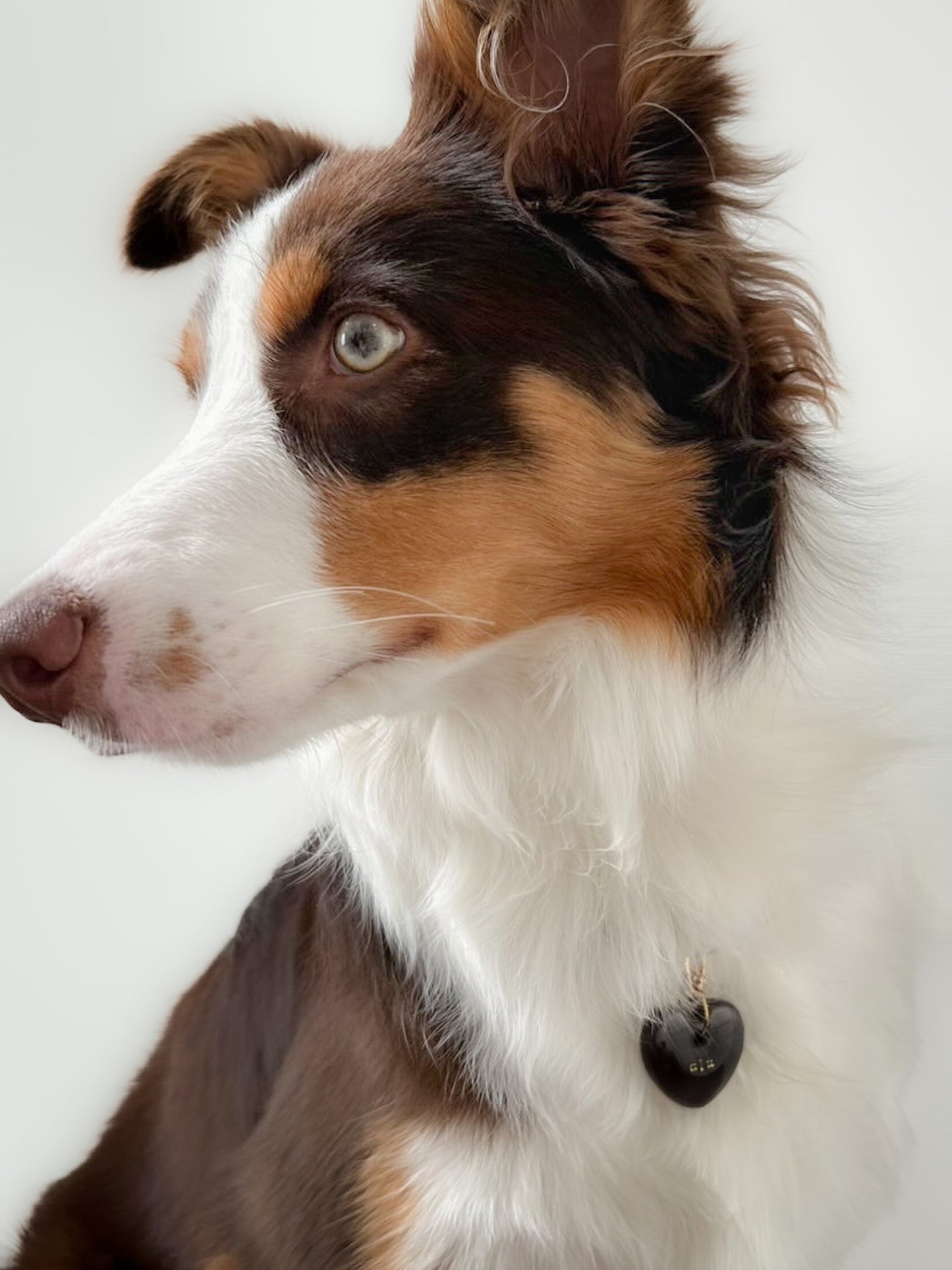 Heart Tag - Mono (shimmer brown)